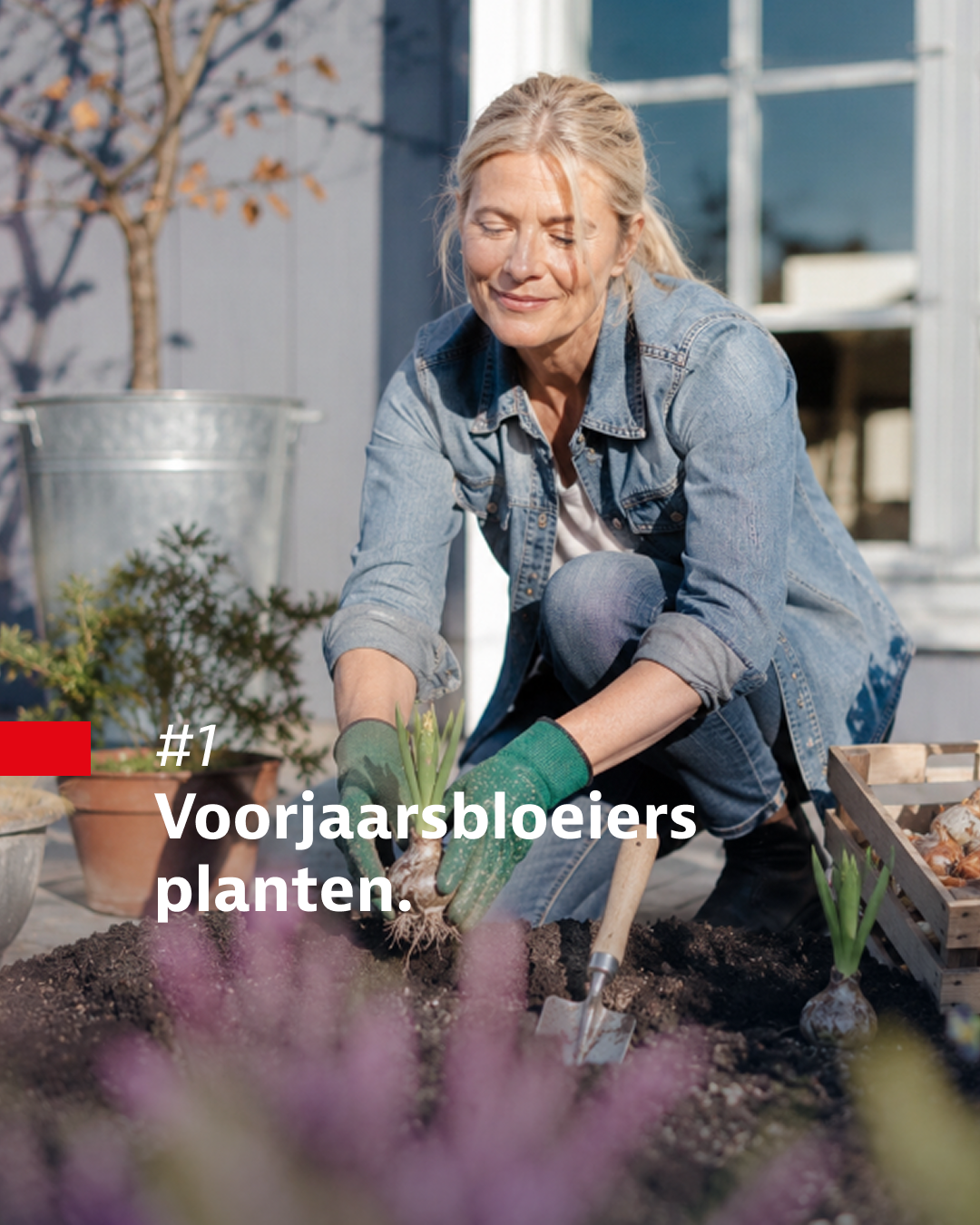 Weinor Herfstactie - planningsweken terrasoverkapping